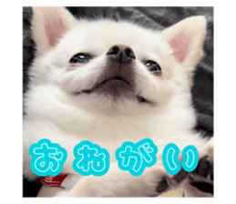 552569424