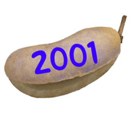 552572222