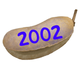552572223