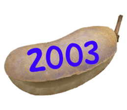 552572224