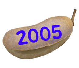 552572226