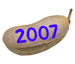 552572228