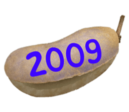 552572230