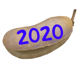 552572241