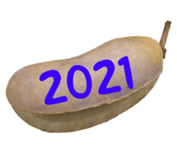 552572242