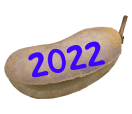 552572243