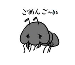 552581407