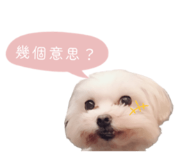 552594754