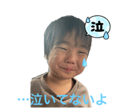 552595238