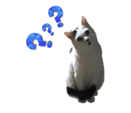 552598089