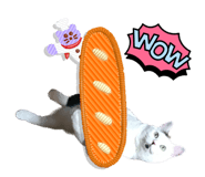 552598093