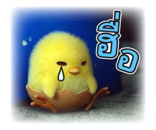Gudetama มีภาพยนตร์แอนิเมชันแล้วนะ รูปที่ 13
