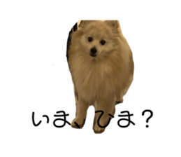 552608408