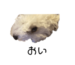 552616201