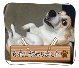 552622580