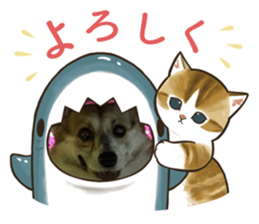 552622581