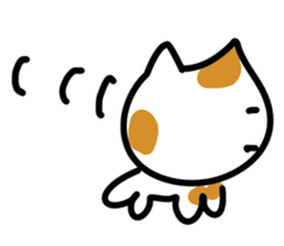 552644453
