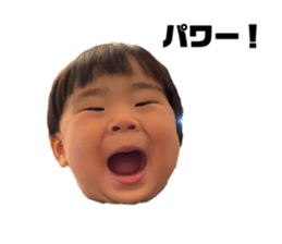 552648181