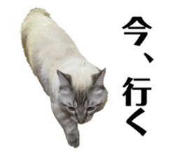 552658061