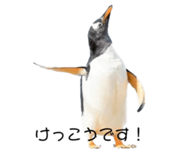 552662401