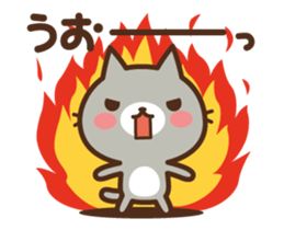 55266392