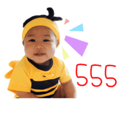 55266967