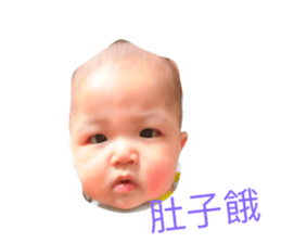 55270655