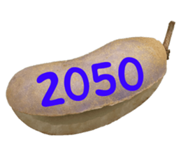 552736154