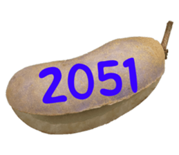 552736155