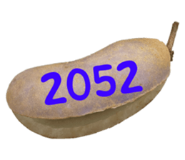 552736156