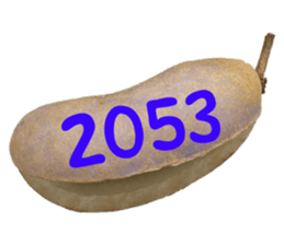 552736157