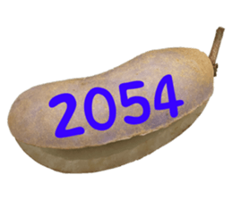 552736158