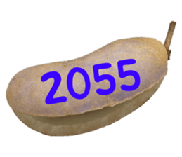 552736159