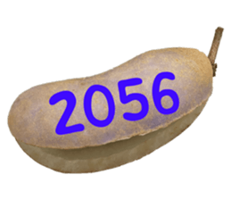 552736160