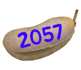 552736161