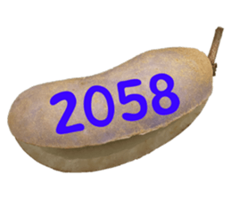552736162