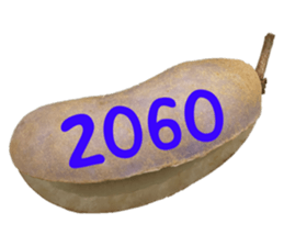 552736164