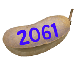 552736165