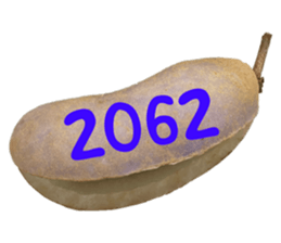 552736166