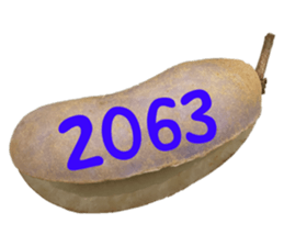 552736167