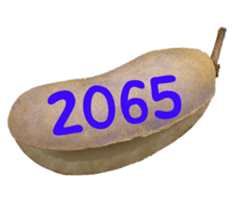 552736169