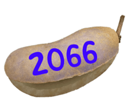 552736170