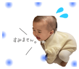 552737036