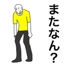 55281531
