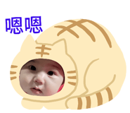 552819930