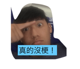 55283188