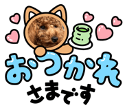 552839797