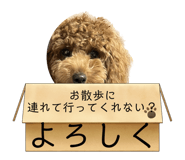552839801