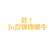 552852954