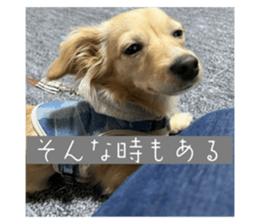552867619